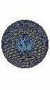 Gemini_Generated_Image_ofh9tyofh9tyofh9.webp
