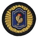 Escudo Bordado PFA