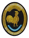 Escudo Bordado PFA Bicentenario